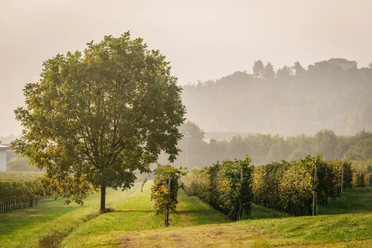 Bed & Breakfast Villa Clementina - Prosecco Country Hotel San Pietro Di Feletto