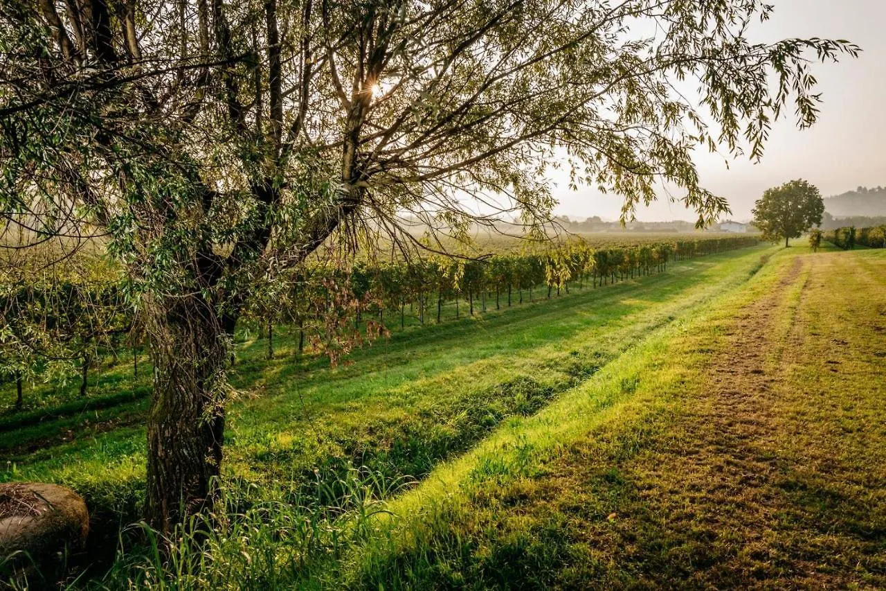 Villa Clementina - Prosecco Country Hotel San Pietro Di Feletto Italy