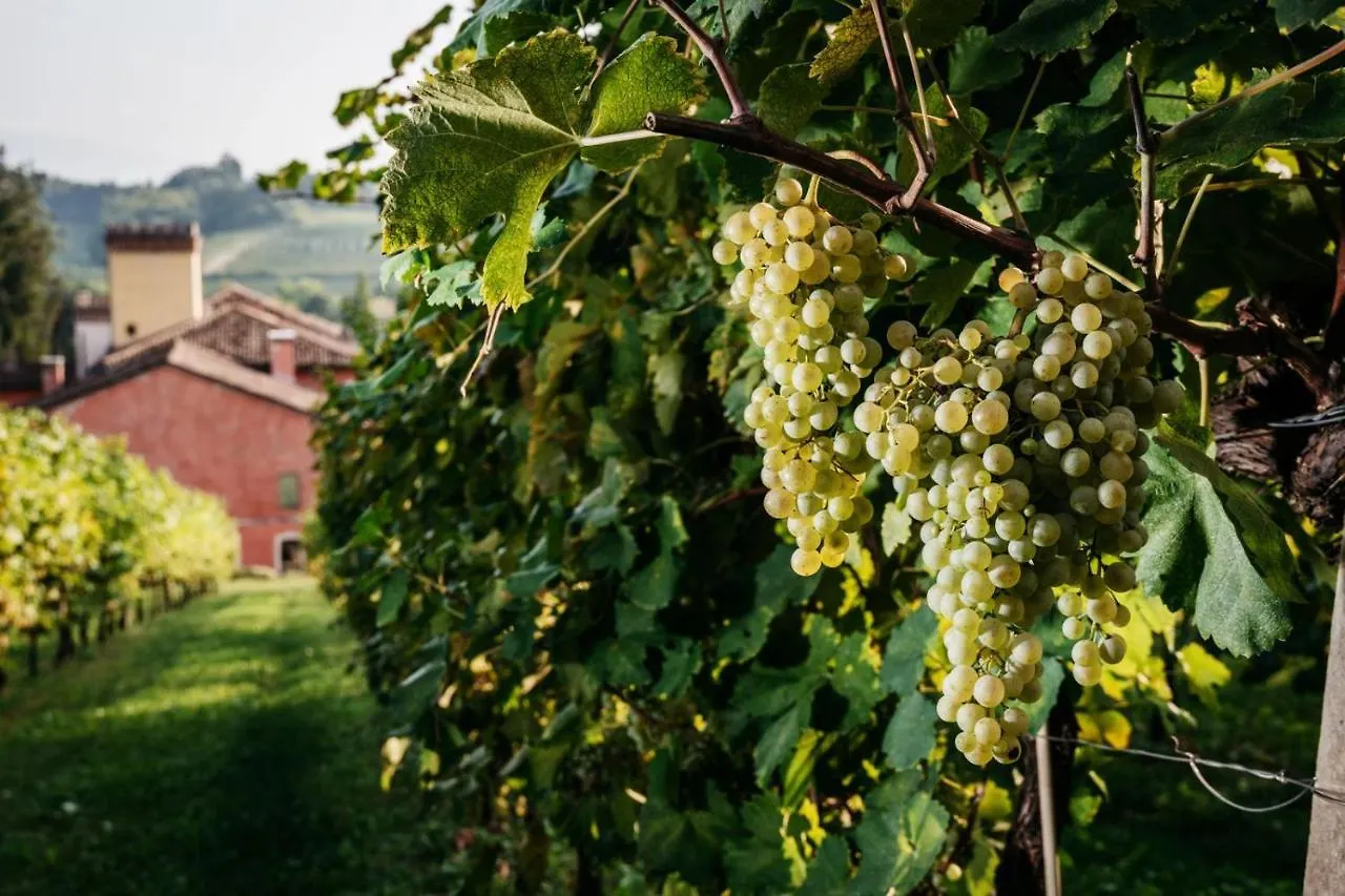 Villa Clementina - Prosecco Country Hotel San Pietro Di Feletto Bed & Breakfast