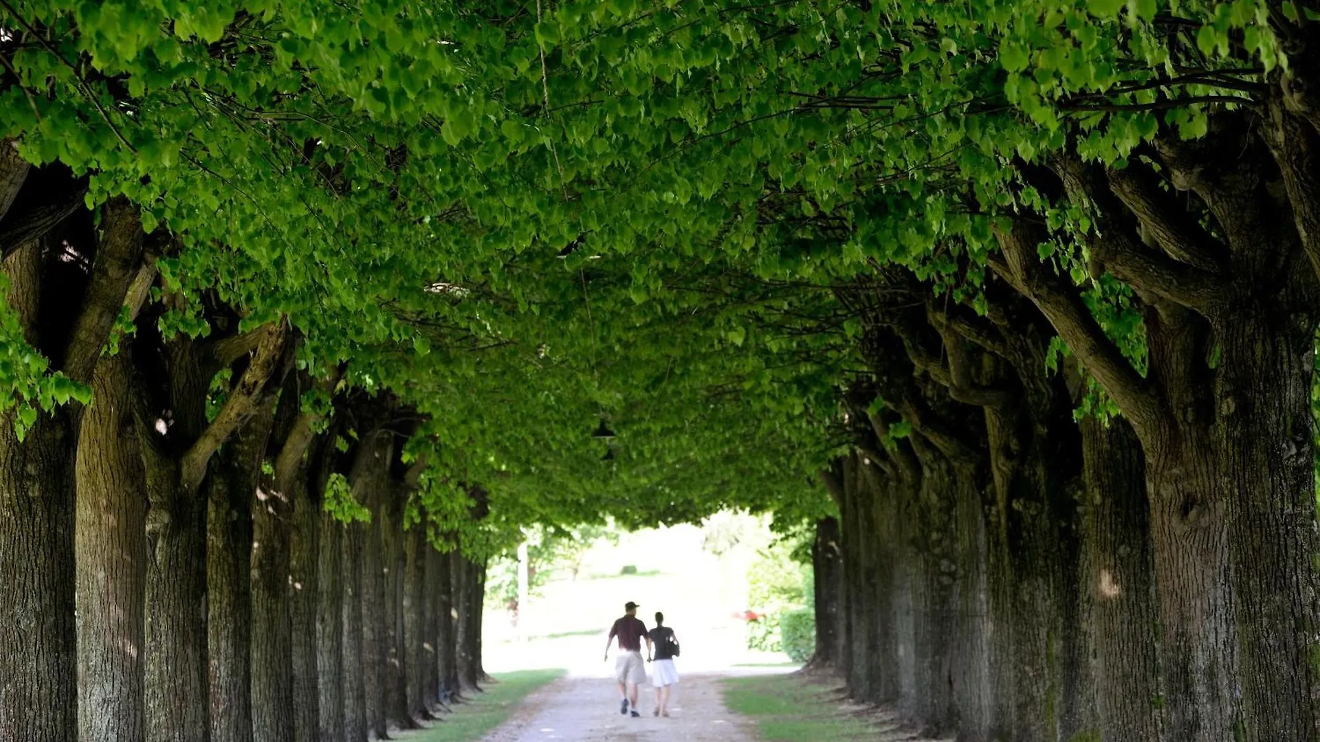 Villa Clementina - Prosecco Country Hotel San Pietro Di Feletto Bed & Breakfast